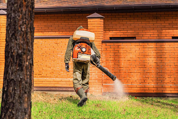 Trusted Mosquito Control service in Farmington, MO - Nex Pest Control